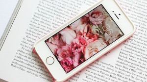 Giá iPhone 6S 16G màu vàng hồng hiện nay là bao nhiêu